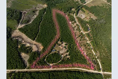 1087 Mw Stroud Rd., Nichols, SC 29581 - Photo 3