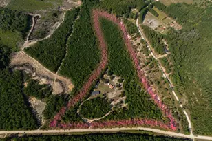 1087 M W Stroud Rd, Nichols, SC 29581 - Photo 3