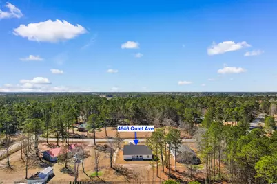 388 William Nobles Rd., Aynor, SC 29511 - Photo 29