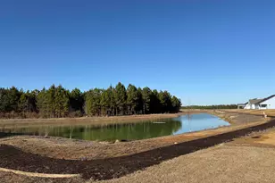 4107 Collins Farm Wy, Conway, SC 29526 - Photo 29