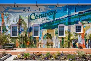 1112 Oak Meadow Dr, Conway, SC 29526 - Photo 21