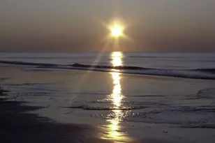 8500 Margate Cir, Myrtle Beach, SC 29572 - Photo 35