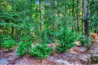 109 Hickory Dr., Conway, SC 29526 - Photo 19