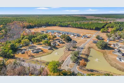 95 Double Pond Dr, Georgetown, SC 29440 - Photo 23