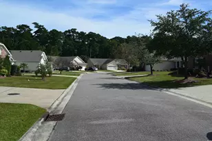216 Rose Water Loop, Myrtle Beach, SC 29588 - Photo 25