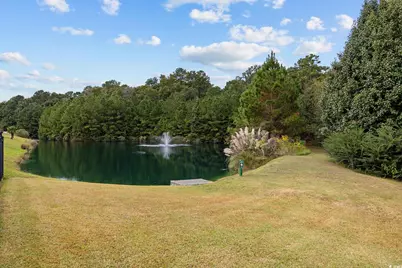 220 Palm Cove Circle, Myrtle Beach, SC 29588 - Photo 5