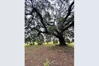 Lot 50 Oak Bay Dr., Georgetown, SC 29440 - Photo 5