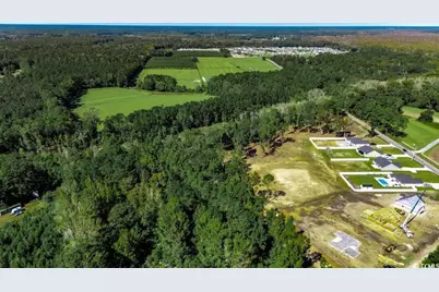 8.06 Acs Old Bucksville Rd., Conway, SC 29527 - Photo 3