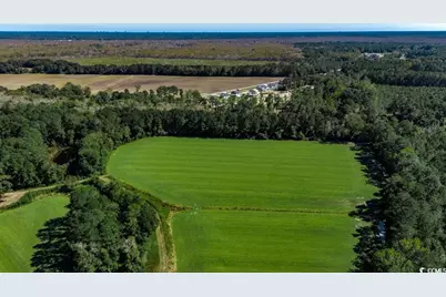 8.06 Acs Old Bucksville Rd., Conway, SC 29527 - Photo 7