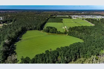 8.06 Acs Old Bucksville Rd., Conway, SC 29527 - Photo 5