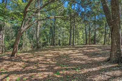 1401 Crooked Oak Dr., Pawleys Island, SC 29585 - Photo 39