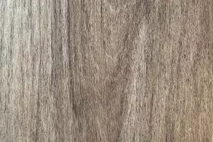 400 Owens Ln, Conway, SC 29527 - Photo 3