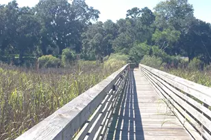 Lot 142 Millbank Rd, Georgetown, SC 29440 - Photo 23