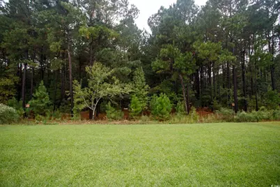 3351 Little Bay Dr., Conway, SC 29526 - Photo 27