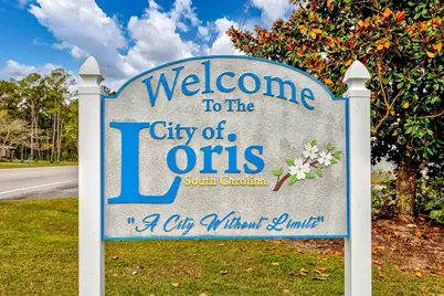 122 Lida Lane, Loris, SC 29569 - Photo 31