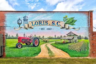 122 Lida Ln, Loris, SC 29569 - Photo 33