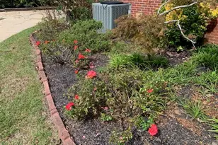 110 E Bell St, Tabor City, NC 28463 - Photo 35