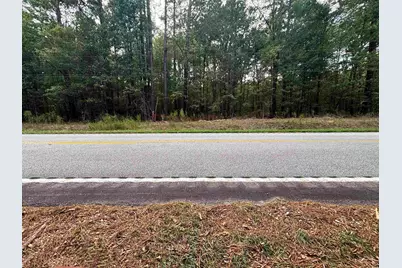 0 Marlboro Way, Bennettsville, SC 29512 - Photo 7