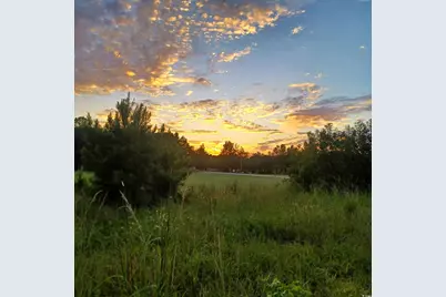 0 Winnie Rd., Nichols, SC 29581 - Photo 3