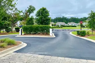 242 Hyacinth Loop, Murrells Inlet, SC 29576 - Photo 35