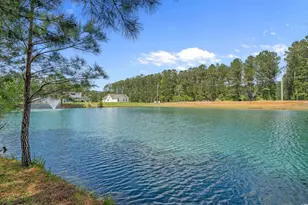 227 Hickory Springs Ct, Conway, SC 29527 - Photo 29