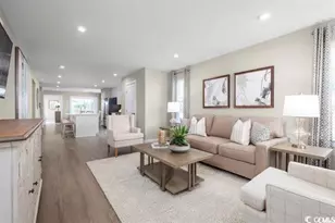 436 Fountain Grass Ct, Murrells Inlet, SC 29576 - Photo 3