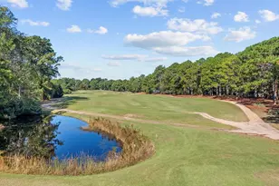 142 Blackwood Trail, Pawleys Island, SC 29585 - Photo 35