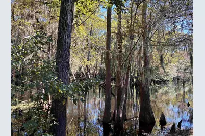 2979 Dill Lake Court, , SC 29546 - Photo 27