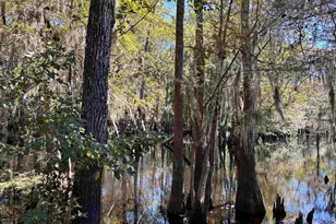 2979 Dill Lake Ct, , SC 29546 - Photo 27