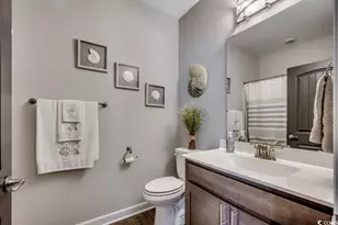 744 Beech Fork Dr, Little River, SC 29566 - Photo 21