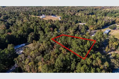 Tbd Barnes Rd., Andrews, SC 29510 - Photo 3