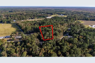 Tbd Barnes Rd., Andrews, SC 29510 - Photo 7