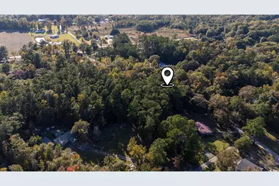 Tbd Barnes Rd., Andrews, SC 29510 - Photo 5