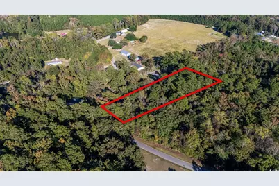 Tbd Barnes Rd., Andrews, SC 29510 - Photo 1