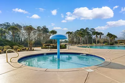 1005 Whooping Crane Dr., Conway, SC 29526 - Photo 29