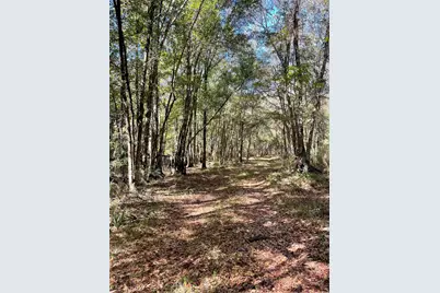Martin Luther King Jr. Hwy., Kingstree, SC 29556 - Photo 5