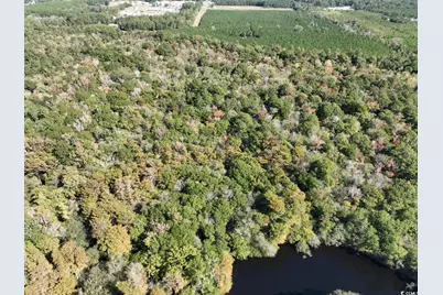Martin Luther King Jr. Hwy., Kingstree, SC 29556 - Photo 9