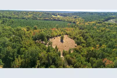 5760 Hugh Ryan Rd, Dalzell, SC 29040 - Photo 3