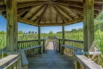 340 Fieldgate Circle, Pawleys Island, SC 29585 - Photo 39