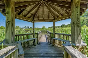 340 Fieldgate Cir, Pawleys Island, SC 29585 - Photo 39