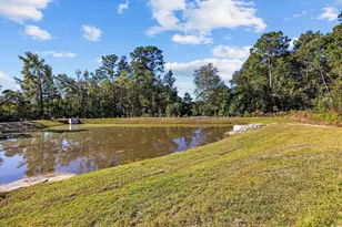 345 Bent Green Ct, Murrells Inlet, SC 29576 - Photo 35