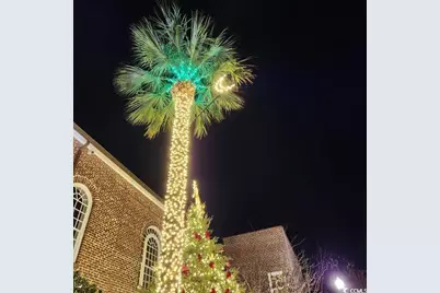 157 Westfield Circle, Conway, SC 29526 - Photo 11