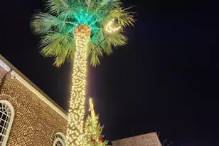 157 Westfield Cir, Conway, SC 29526 - Photo 11