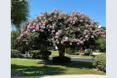 13 Grovecrest Dr., Murrells Inlet, SC 29576 - Photo 3