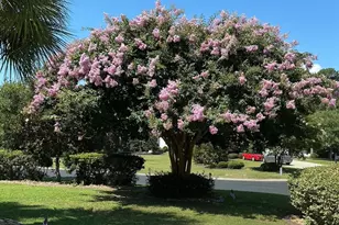 13 Grovecrest Dr, Murrells Inlet, SC 29576 - Photo 3