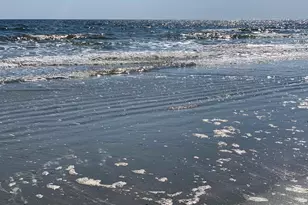 35 Monroe St, Ocean Isle Beach, NC 28469 - Photo 37