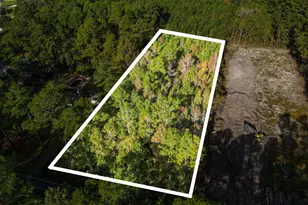 Tbd Long Ave Ext, Conway, SC 29526 - Photo 1