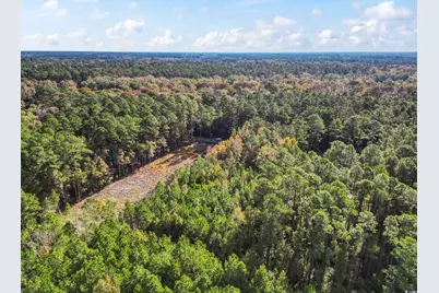 Tbd Long Avenue Ext., Conway, SC 29526 - Photo 3