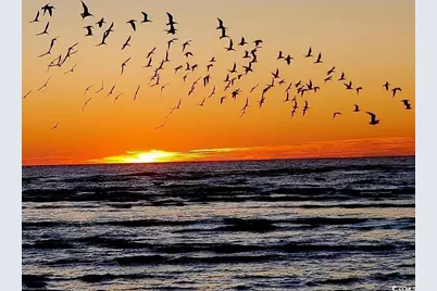 220 Lumbee Circle #34, Pawleys Island, SC 29585 - Photo 33