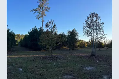 5241 Cates Bay Hwy., Conway, SC 29527 - Photo 21